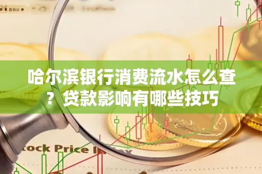 哈尔滨银行消费流水怎么查?贷款影响有哪些技巧